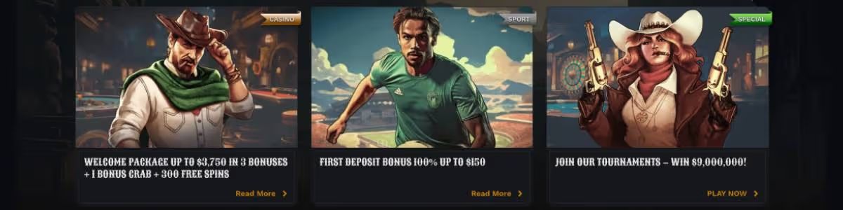 Wildsino Casino Bonuses Screenshot