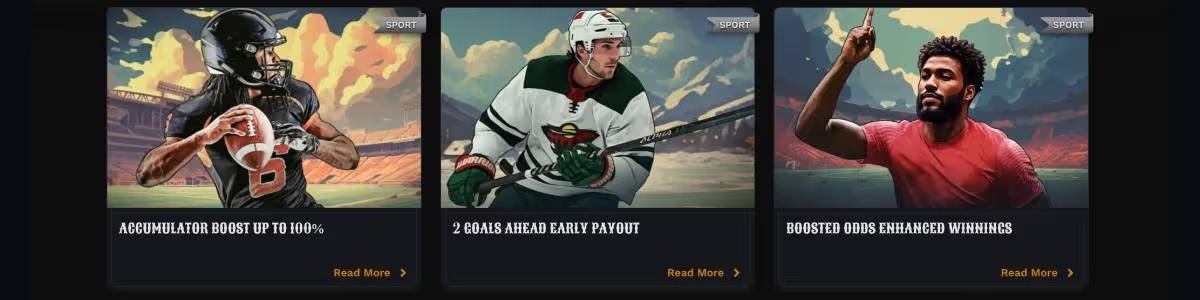 Wildsino sports bonuses screenshot