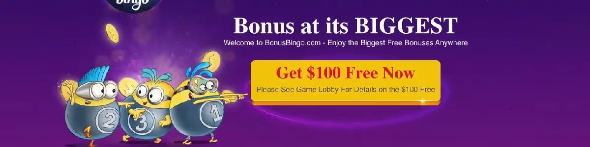 BonusBingo Bonuses