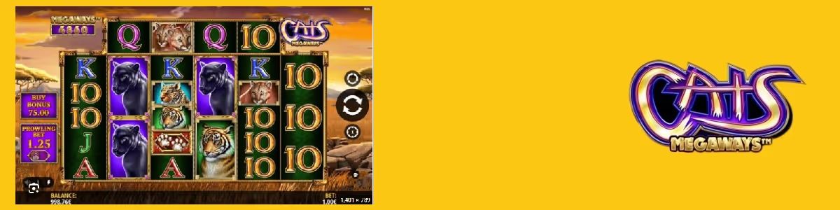 Cats Megaways Review