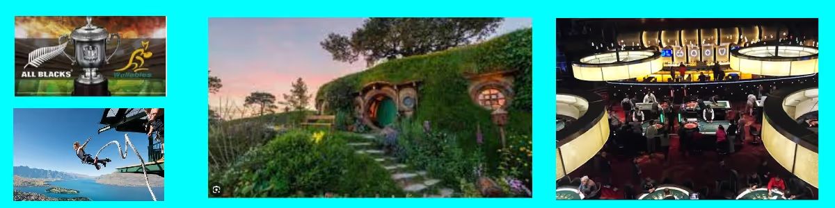 New Zealand Tourism options