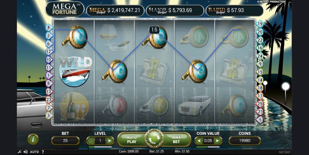 Mega Fortune Slot Game Screenshot
