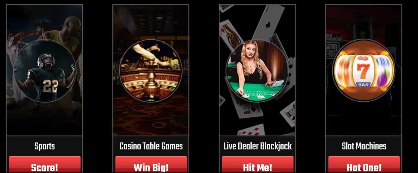 americas cardroom games