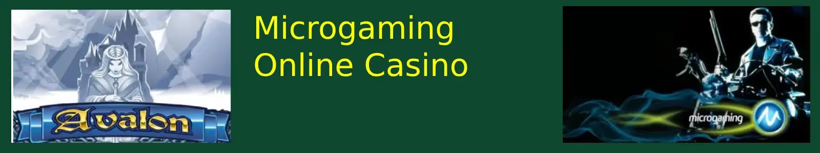 Microgaming Online Casino Software Banner