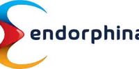 Endorphina Software Developer
