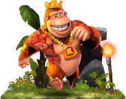 45 21 281 about kong 0