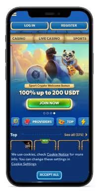 Pandido Casino mobile screenshot