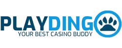 Playdingo Casino