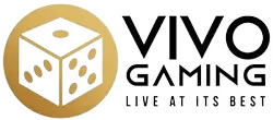 VIVOゲーミング　オンカジ