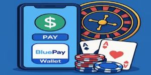 Blueplay Wallet