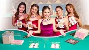 53 49 445 OIP 20 283 29