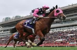 bauty generation horse