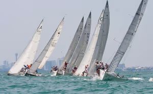 การแข่งเรือ