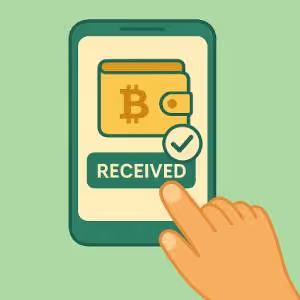 Verify the funds in your wallet