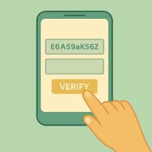 Enter all values into a verification tool