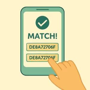 Compare the generated hash with the pre-game hash