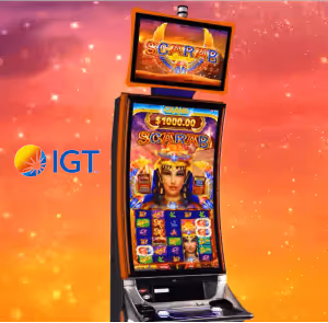 26 18 338 IGT 20slot