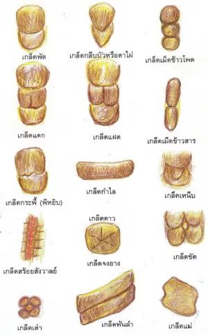 technich cock fighting