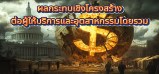 01036d731b00ae9ae7f585cb81df058b Structural20impact20on20service20providers