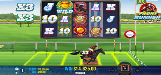 29a654c4e5a80d6ec6a7a51cf4cda749 Front Runner Odds On Multi 0