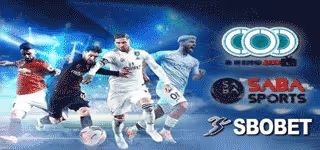 45plus logo sport banner 0