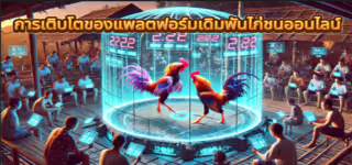 52dbb49f7ba1892c3bb5cdce0d14e97e The20growth20of20online20cockfighting20betting20platforms