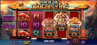 54c669969d7ca27ca4efd68b42e4e56d Year of the Dragon King 0