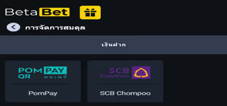 593c1c2066d6eff6a151dd25f9639ca1 Betabet pay 0