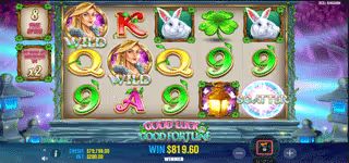 5db2dc3f514ce9e286e7df74964bc0d2 Good Luck 26 Good Fortune Wilds