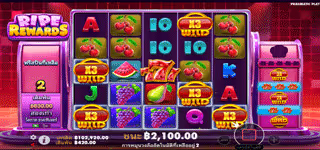 a8bd1e545edacad2838ffdf289b8d7c2 Ripe Rewards Multi 0