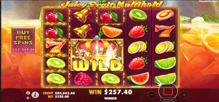 aa1a412d3990a6d512d4c7826466fc5b Juicy Fruits Multihold Wild 0