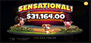 afb9d91316b1190998401bcdd6e753c1 Barnyard Megahays Megaways Won 0