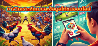 b9e262dfa2c350c9c705c7df6e5c5b0d Online20cockfighting20game20analysis20and20information