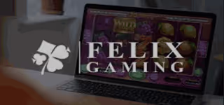 falix gaming software 0