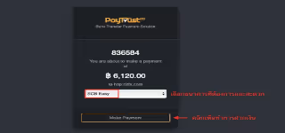 Paytrust88 202