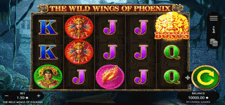 the wild wings of phoenix game 0