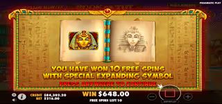 05c6810175978f91a43268a2f246a459 John Hunter and the Book of Tut Megaways Book