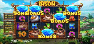 0bf288d7f912ea1f61ef320ae507492c release the bison Scatter