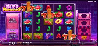 58e308845401e1a233e07619098b24e7 Ripe Rewards Scatter