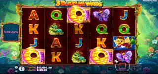 653899178fe5595e53a6e71323d6319d 3 Buzzing Wilds FreeSpint