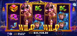 8aa7ebf5cc1ad7c290bcadd4a64f1607 Jasmine20Dreams20wild