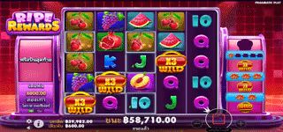9bfc236e3ddd986c60ff10a33fe28174 Ripe Rewards FreeSpin
