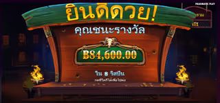 a083654b457aab88fb82c7ccf61bdfb3 Cowboy Coins winer