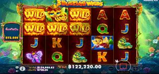 a7e38b2de3e52ed8b030229023ef3945 3 Buzzing Wilds Wilds Wilds