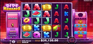 af1a678af7fc7391a5508cae92480d1d Ripe Rewards Multi