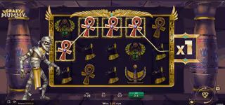 crezy mummy tcc three