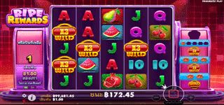 ee3387062ff460d94e02d07e2224df24 Ripe Rewards Wild