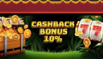 El Patron Casino Cashback Bonus