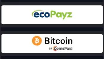 LuckyElf Casino Payment Methods