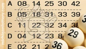 Close-up of a Michigan Fantasy 5 lottery ticket showing multiple lines of two-digit numbers with white lottery balls.